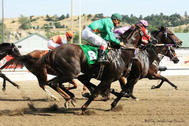 Horse Racing in Montana