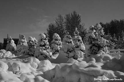 Red Lodge, Montana Winter