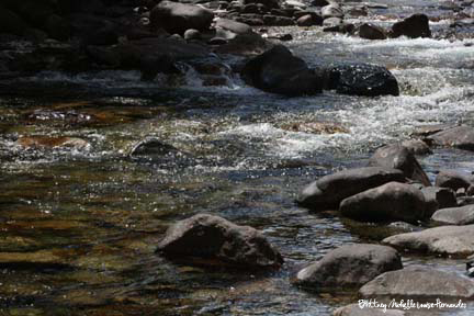 Rock Creek Riverbed