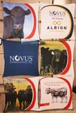 Novus 2x3 Fabric Graphic Display