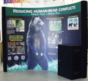 Bear Aware Display with Alcove Counter